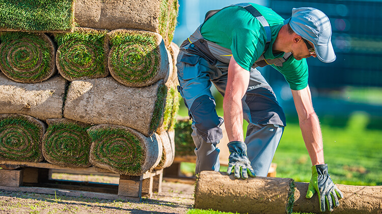 Gardener VS Landscaper. What’s the Difference?