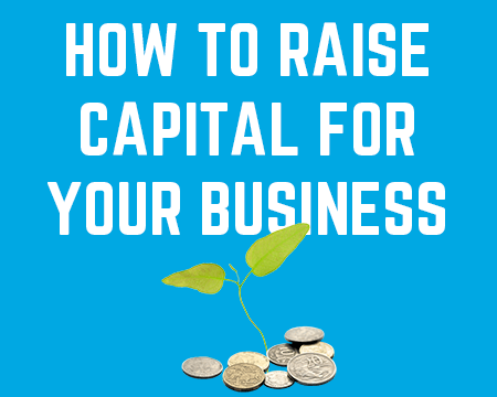 business plan raise capital