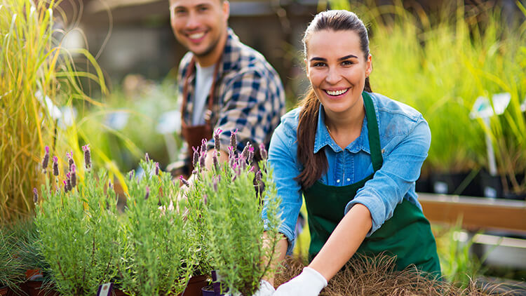 Starting a Landscaping Business in Australia