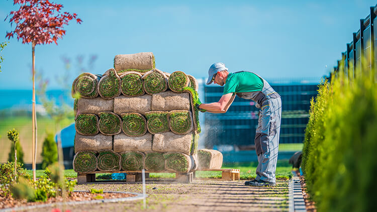 Types of Landscaping Businesses